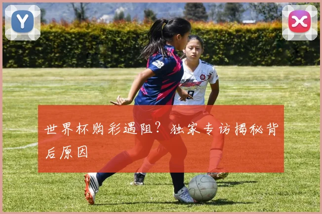 世界杯购彩遇阻？独家专访揭秘背后原因