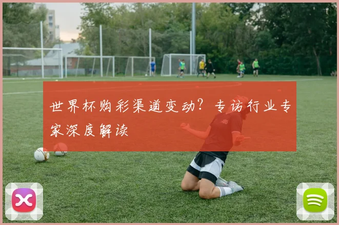 世界杯购彩渠道变动？专访行业专家深度解读