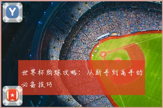 世界杯购球攻略：从新手到高手的必备技巧