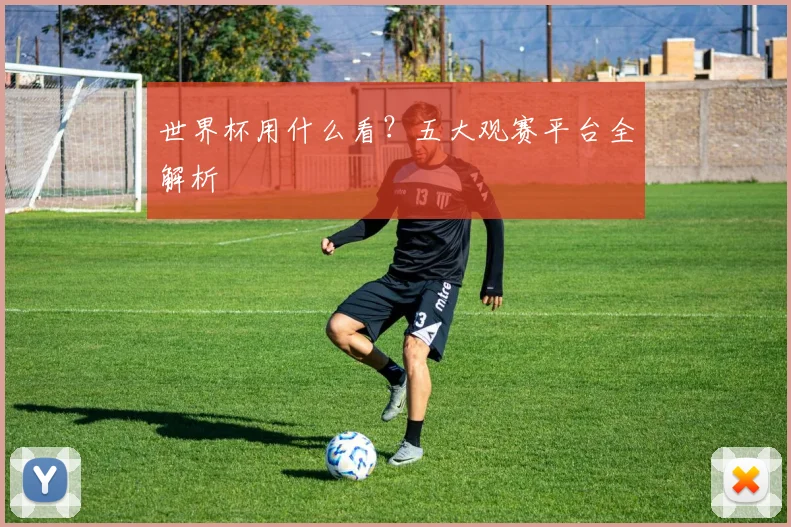 世界杯用什么看？五大观赛平台全解析