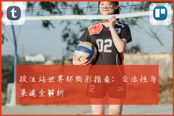 投注站世界杯购彩指南：合法性与渠道全解析
