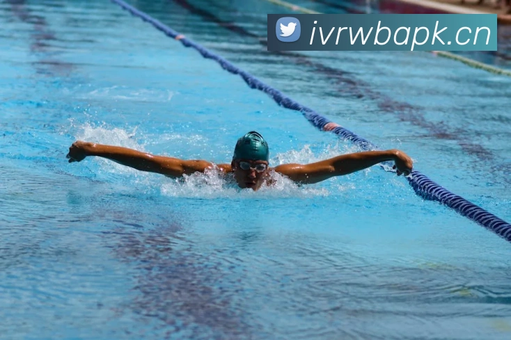 开云app在线登陆入口APP 封面图